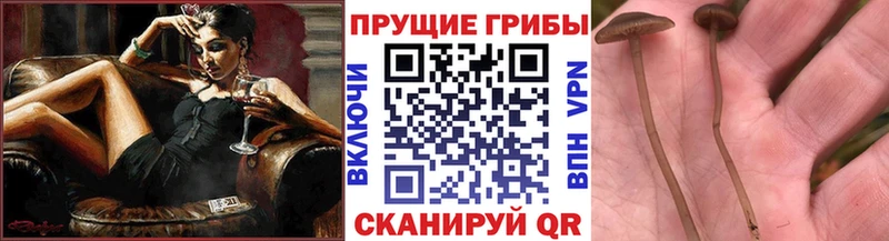 Псилоцибиновые грибы мухоморы  Лесосибирск 